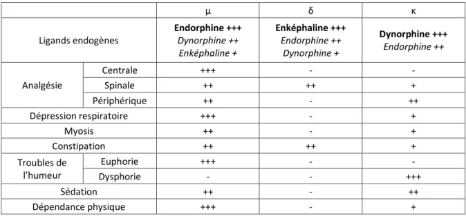 Tableau I : Ligands endogènes et activités des récepteurs opioïdes, d’après La douleur : guide pharmacologique et thérapeutique (30) 