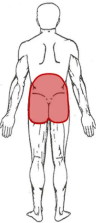 Figure 0.1. Représentation corporelle de la lombalgie 
