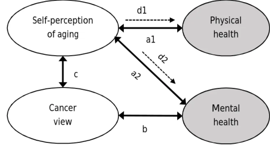 Figure 1. Illustration of the effect of self-perception of aging and cancer view on  mental and physical health