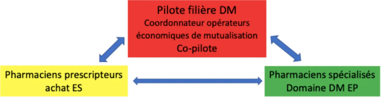 Figure 5. Liens relationnels filière DM 