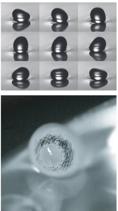 Figure 4. Rolling motion of the droplet (top): mode Y 2 1 of a bouncing droplet (ν = 1.5 cSt, R = 0.765 mm) observed at f = 115 Hz and # = 4.5 ! # th 