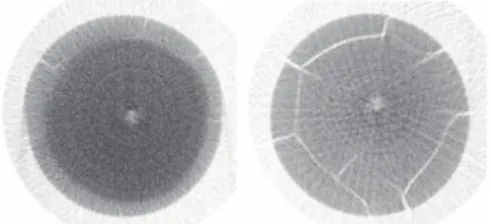 Fig. 1 : Evolution of the desiccation cracking (W/W 0  = 0.23 on the left and W/W 0  = 0.10  on the right) (Job et al