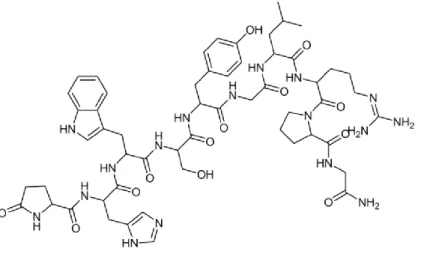 Figure 9 : Structure moléculaire de la GnRH [19] 