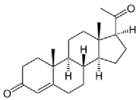 Figure 12 : Structure chimique de la progestérone [23] 