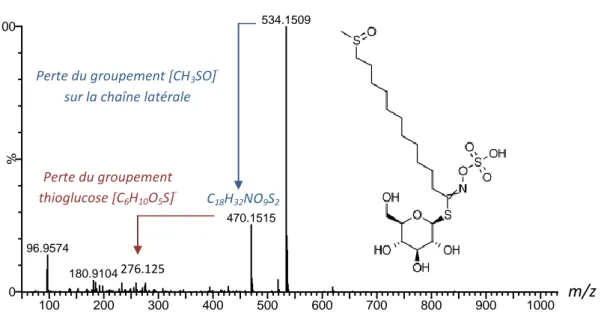 Figure 8. Spectre MS/MS du 11-méthylsulfinyl-undecylglucosinolate (Gluconesiliapanuculatine) 
