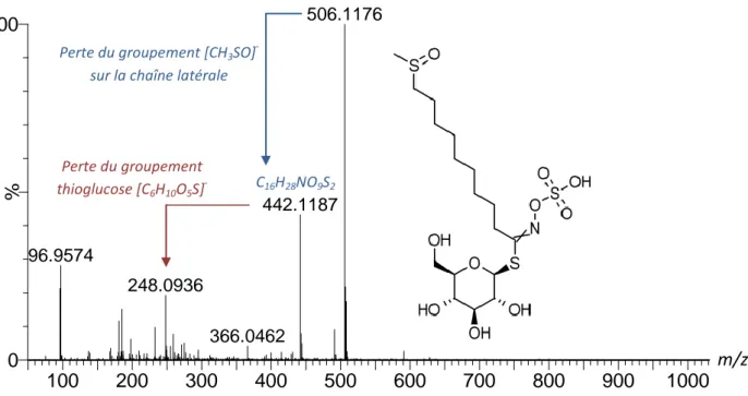 Figure 10. Spectre MS/MS du 9-methylsulfinyl-nonylglucosinolate (Glucoarabine) 