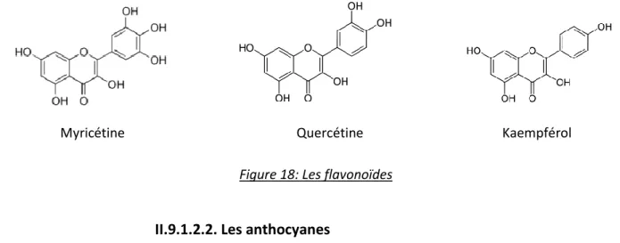 Figure 18: Les flavonoïdes 