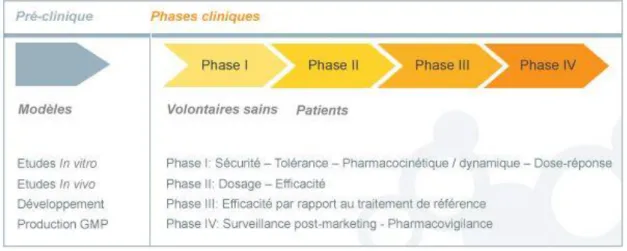 Figure 3 : Phases de développement des vaccins 