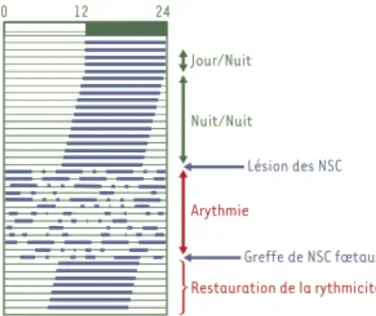 Figure 8 - Les propriétés fondamentales des NSC, d’après [20].