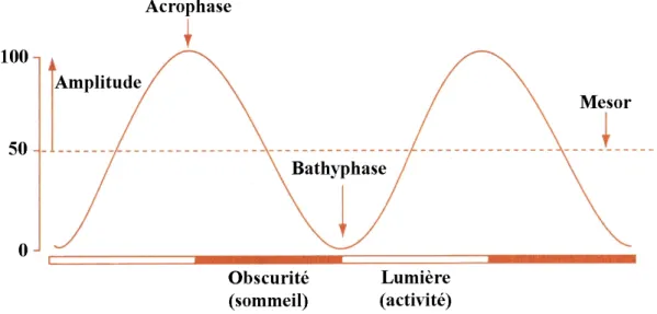 Figure 1 - Illustration graphique d’un rythme hypothétique, d’après [5].