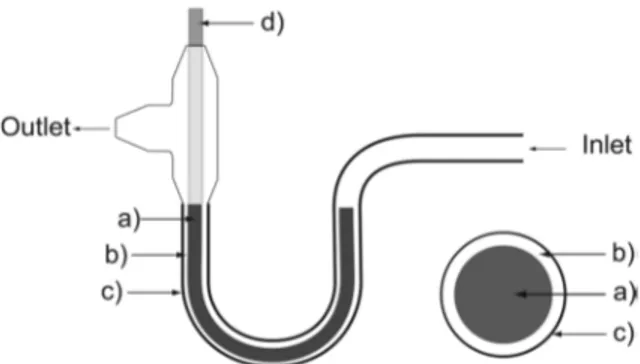 Figure 1.3 : Schématisation d’un système microfluidique pour la mesure coulométrique des ions et la  coupe transverse du canal entre l’entré (Inlet) et la sortie (Outlet)