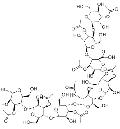 Illustration   8 : Représentation de la molécule d'acémannane [ix]