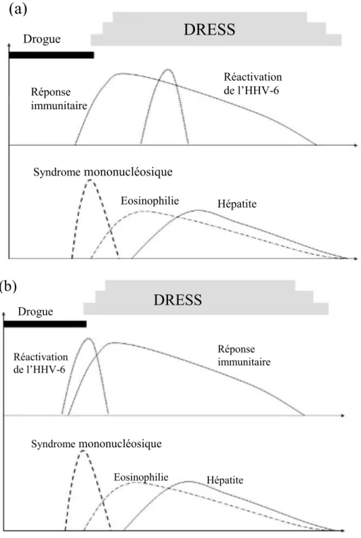Figure 4 : Schéma des hypothèses possibles au cours du DRESS : (a) la réactivation d’HHV-6 est la conséquence de la  réaction immunitaire ou (b) la réactivation de l’HHV-6 est la cause des manifestations cliniques du DRESS [40] 