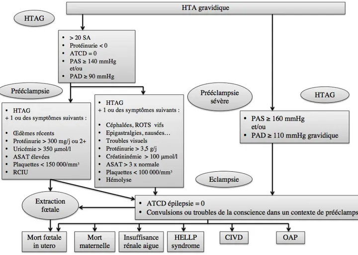 Figure 7 : Définitions de l’hypertension artérielle gravidique (38). 