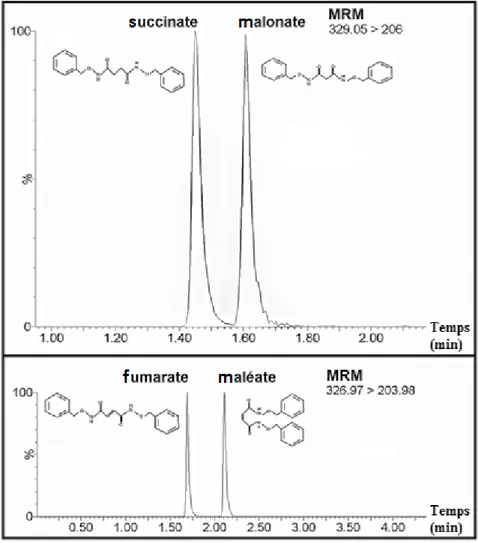 Figure 6: Séparation chromatographique après dérivation du  succinate et du méthylmalonate et du fumarate et du maléate 