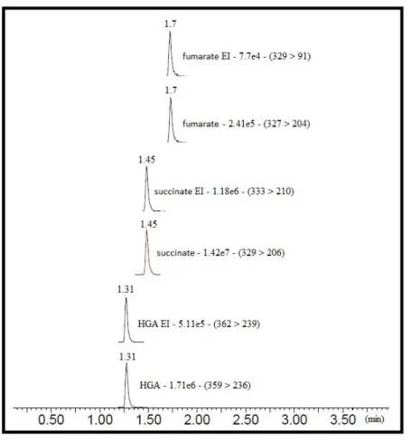 Figure 7: Chromatogrammes colonne CSH Phenyl-Hexyl® - UPLC-MS/MS  