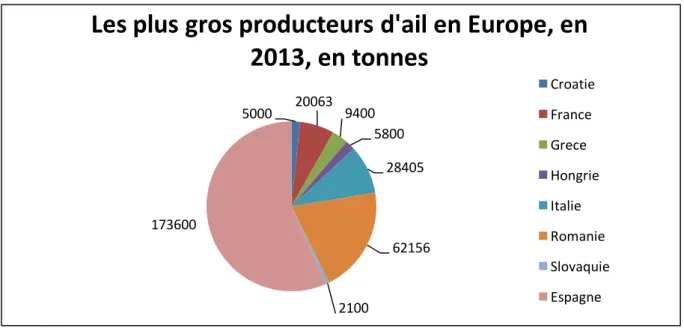 Graphique 2 : La production détaillée de l’ail en Europe. 