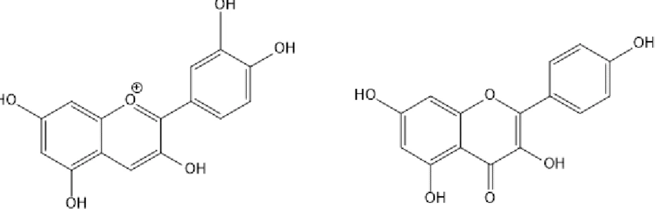 Fig. 12. Spectre en MS/MS pour une masse correspondant au kaempférol et à la cyanidine 
