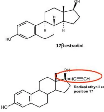 Figure 8: : Différence entre le 17 β-estradiol et l’EE (113). 