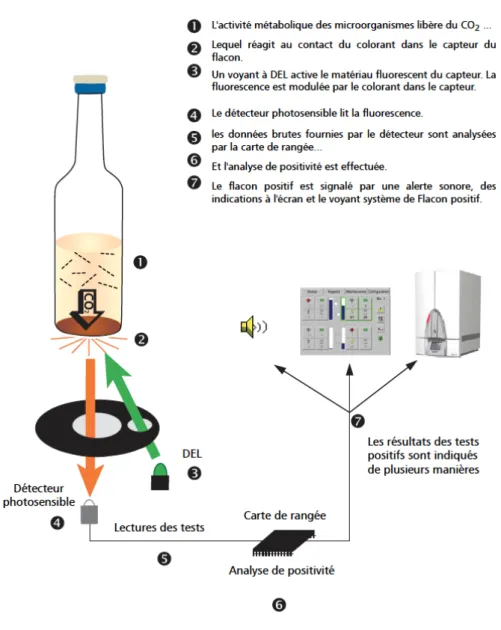 Figure   2   –   Principe   de   détection   de   la   croissance   microbienne   dans   une   hémoculture   du   système   BACTEC™   