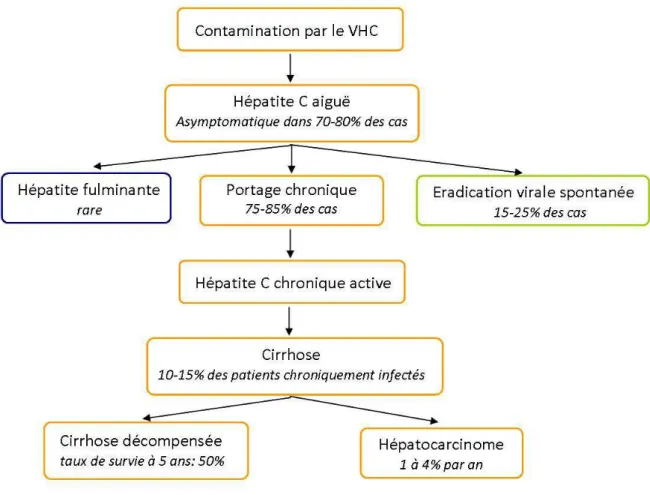 Figure 2 : Histoire naturelle de l’infection par le VHC. 