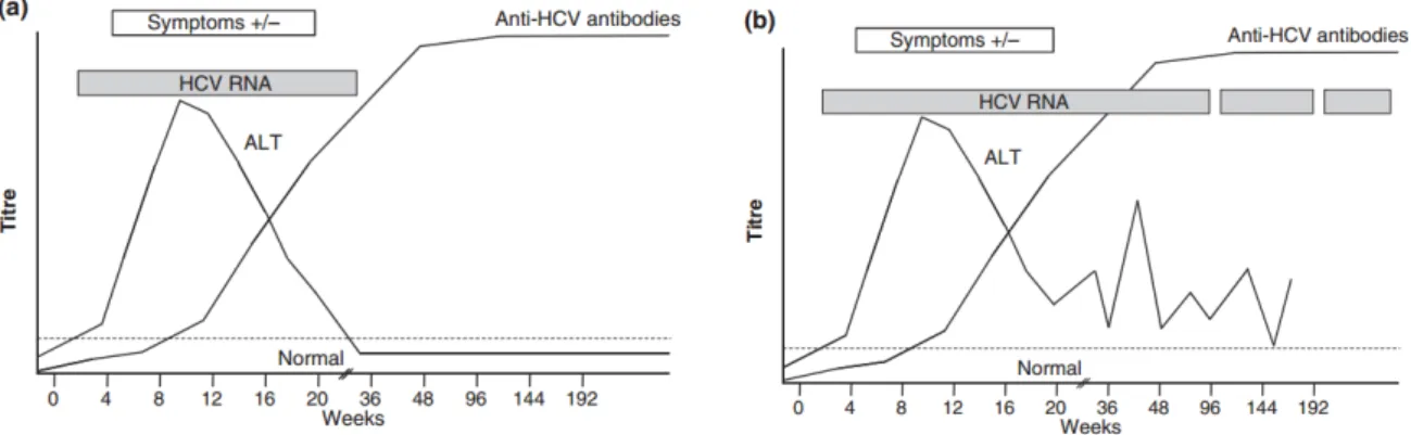 Figure  3 :  Cinétique  des  marqueurs  virologiques  au  cours  d’une  hépatite  C  aiguë  (a)  et  d’une  hépatite  C  chronique (b)