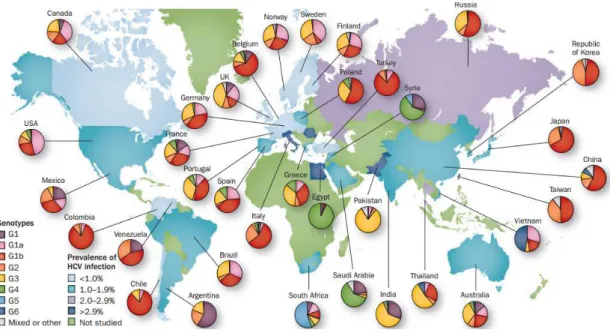 Figure 6 : Distribution géographique des génotypes du VHC dans le monde. 