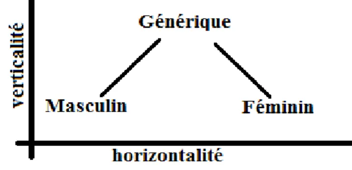 Figure 1 : représentation bidimensionnelle du genre                                                             