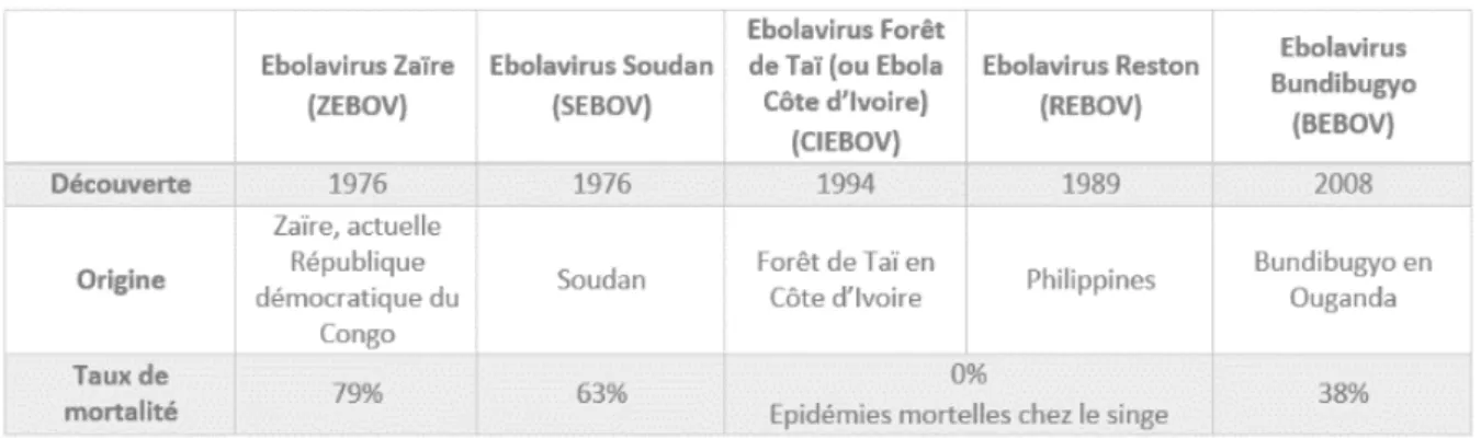 Tableau I : Comparaison des différentes espèces du virus Ebola (7) 