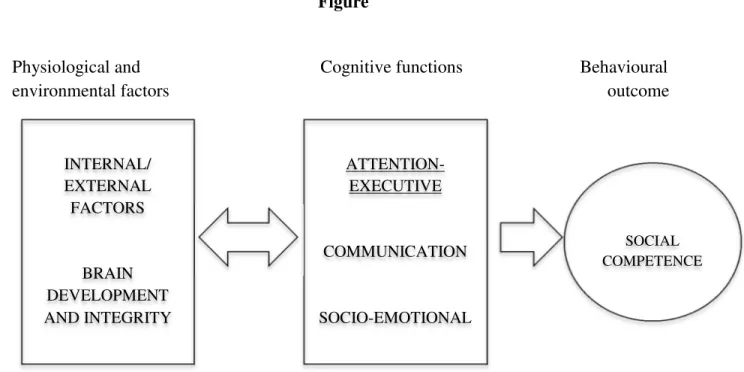 Figure 1. The Socio-Cognitive Integration of Abilities (SOCIAL) model from Beauchamp,  M.H., &amp; Anderson, V., SOCIAL: An integrative framework for the development of social  skills, Psychological Bulletin, 136, 39-64, 2010, Publisher: APA