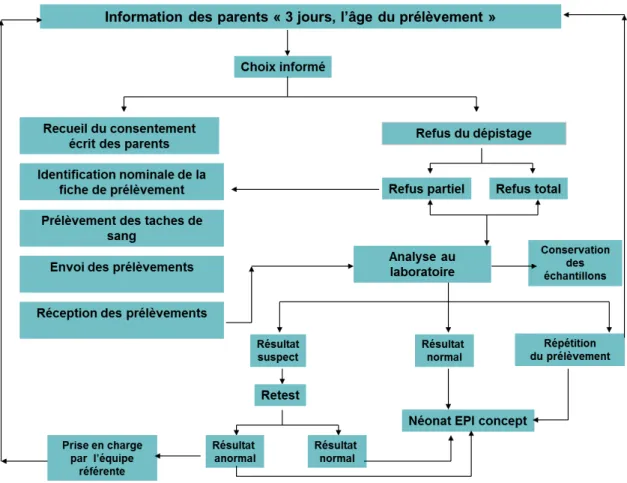Figure 1 -  Le dépistage néonatal : De l'information des parents à la prise en  charge de l'enfant