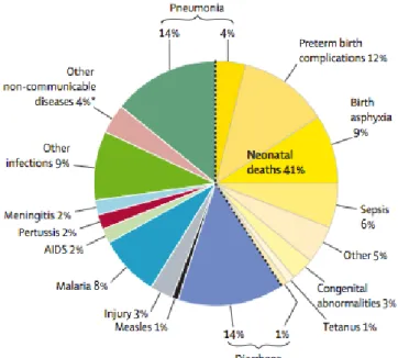 Figure 1 : Causes de mortalité des enfants de moins de 5 ans  (59 mois) dans le monde (les  causes de  mortalité inférieures à 1% ne sont pas présentées)