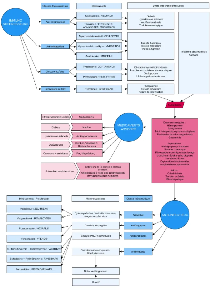 Figure 2. Prise en charge médicamenteuse en post-transplantation pulmonaire