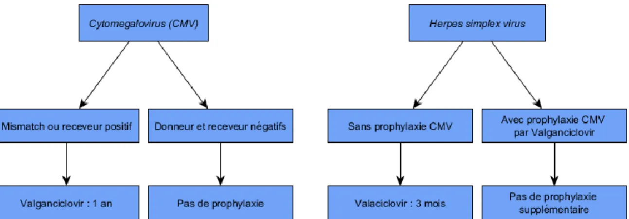 Figure 4. Stratégie anti-infectieuse en transplantation pulmonaire au CHUGA