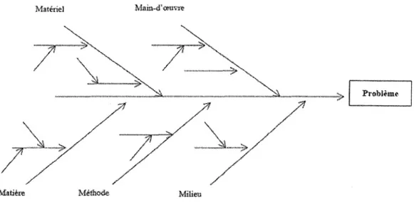 Figure n°8 Modèle du diagramme d'Ishikawa (12),  (41) 