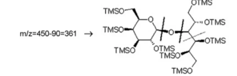 Figure 2. Schéma de fragmentation du lactitol (4-O-α-D-Galactopyranosyl-D-glucitol) (19)  Les monomères ont leur fragment le plus abondant à m/z = 204 et m/z = 217