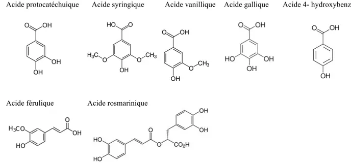 Figure 5. Structure des acides phénoliques présents dans la mélisse 