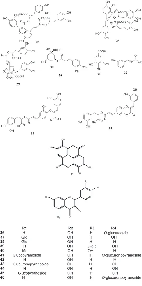 Figure 6-2. Structures des métabolites secondaires de M. officinalis (correspondance avec le  Tableau 1) (Suite) 