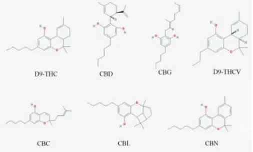 Figure 9 : Exemples de phytocannabinoides de Cannabis sativa (1) 