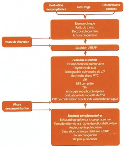 Figure 12. Algorithme diagnostique devant une suspicion d'HTAP (2) 