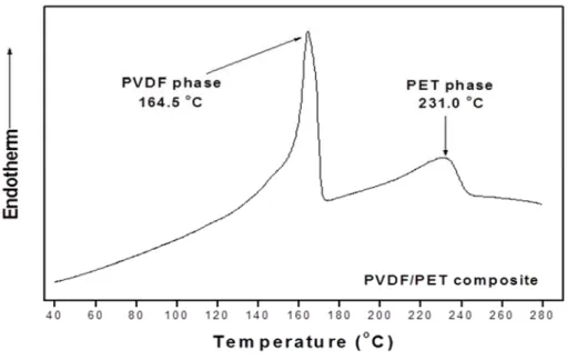 Figure 4.1 DSC curve of conductive PVDF/PET based composite (heating rate of  10oC/min)