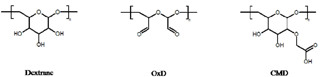 Figure  11 :  Structures  du  dextrane  et  de  ses  dérivés  carboxyméthylés  (CMD),  et  oxydés  (OxD)