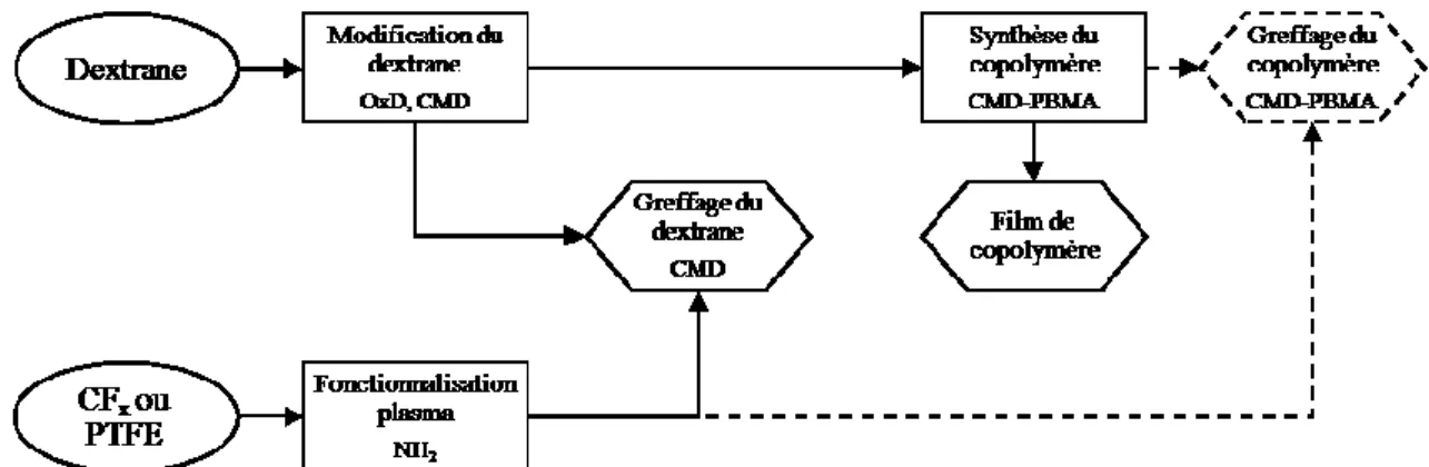 Figure 15 : Méthodologie générale du projet. Parties non-accomplies en pointillés. 