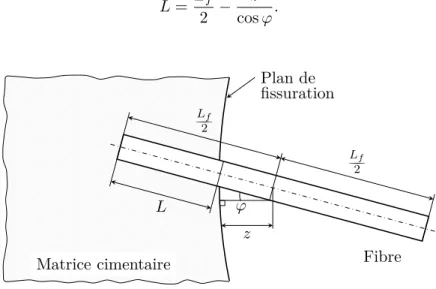 Figure 2.2 – Représentation schématique d’une ﬁbre à travers un plan de ﬁssuration