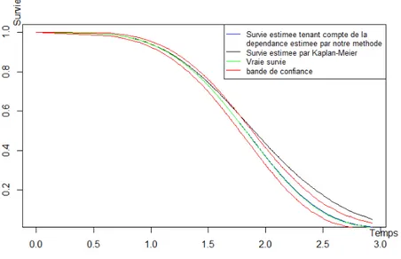 Graphique 3.1 – Vraies survies, survies moyennes estimées par notre méthode et survies moyennes estimées par Kaplan-Meier sur 1000 échantillons de taille 1000 générés à partir d’une copule de Clayton de paramètre 0.5 (τ = 0.2), T et U suivant une même loi 