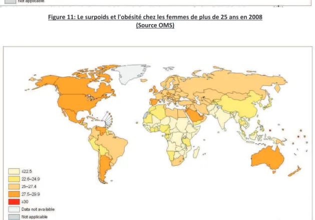 Figure 12: Le supoids et l'obésité chez les hommes de plus de 25 ans en 2008  (Source OMS) 