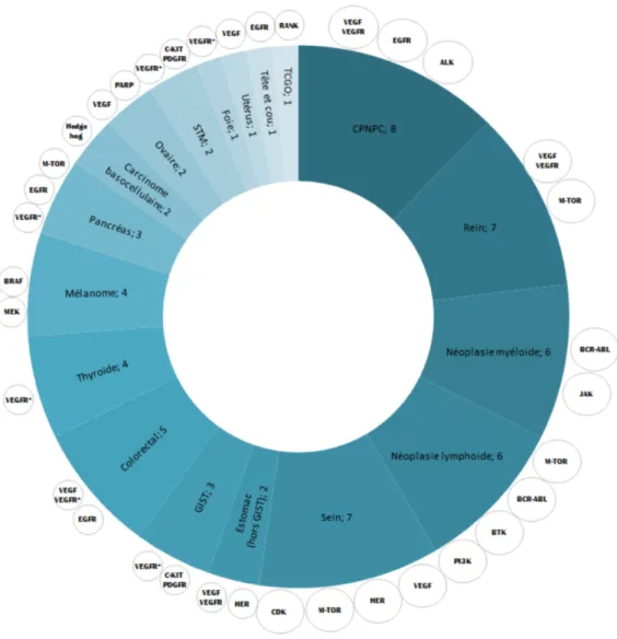 Figure 6 - Nombre de thérapies ciblées différentes ayant au moins une indication dans chaque localisation  tumorale 4