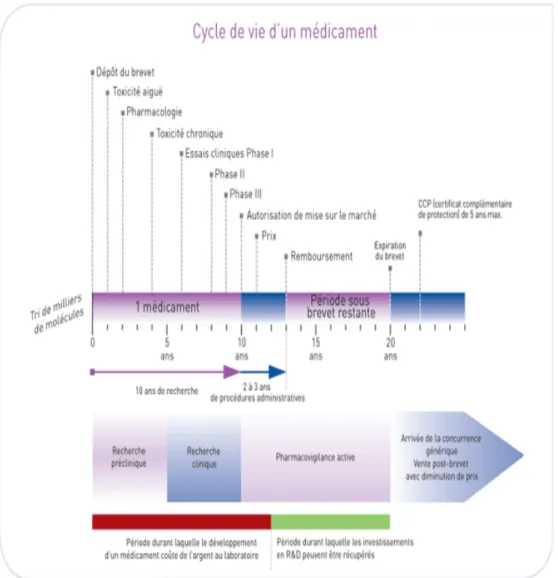 Figure 1 Cycle de Vie du Médicament  