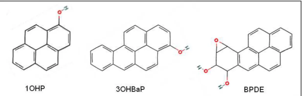 Figure  4.  Structure  chimique  du  1-hydroxypyrène  (1OHP),  3-hydroxybenzo(a)pyrène  (3OHBaP) et du 7,8-dihydrodiol-9,10-époxy-benzo(a)pyrène (BPDE)