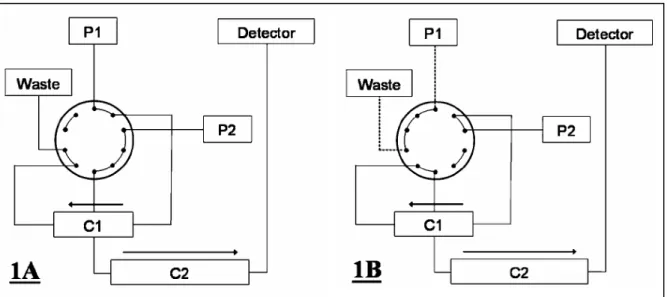 Figure  7.  Schéma  du  système  chromatographique.  P1,  pompe  1 ;  P2,  pompe  2 ;  C1,  colonne  1 :  Supelcosil LC-18 (150 x 4,6mm, 5µm) ; C2, colonne 2 : PAH-C18 (250mm x 3mm, 5µm) ; Waste,  poubelle ; Detector, fluorimètre